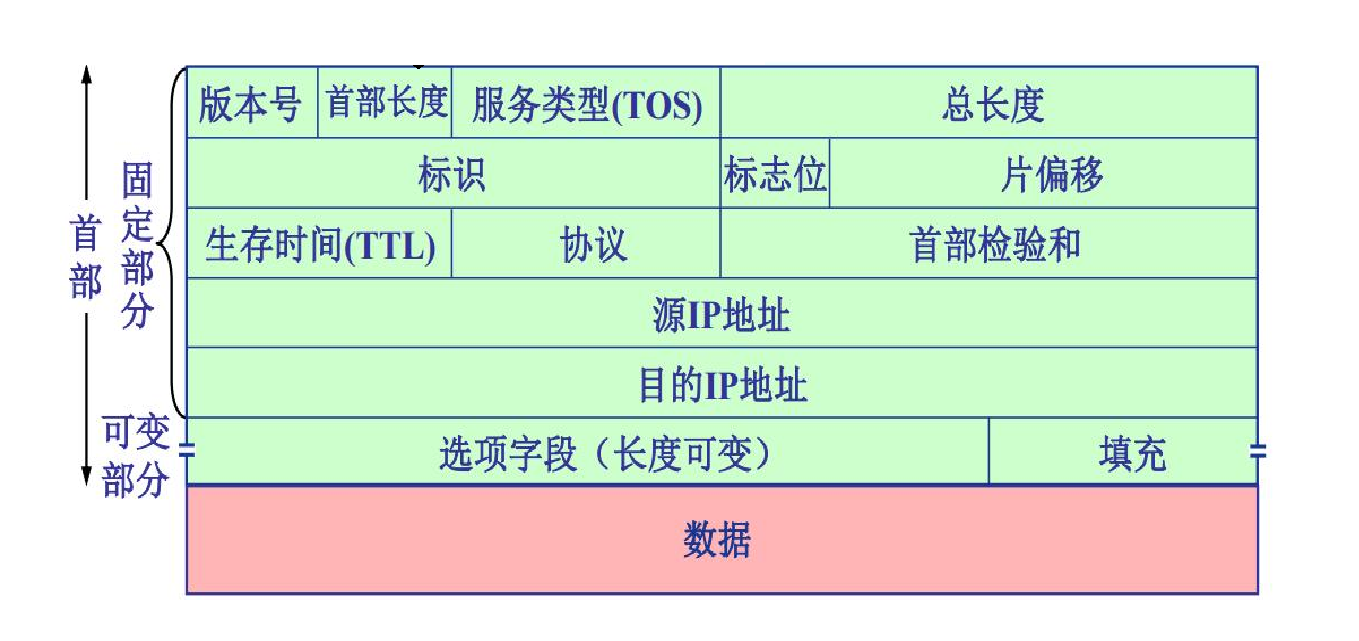 IP数据报结构