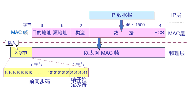 以太网帧结构